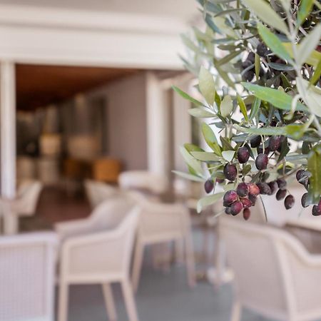 Paul Marie Hotel Apartments Ayia Napa Exteriör bild